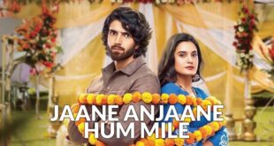 Jaane Anjaane Hum Mile